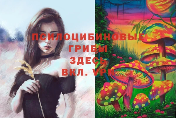 МДМА Алексеевка